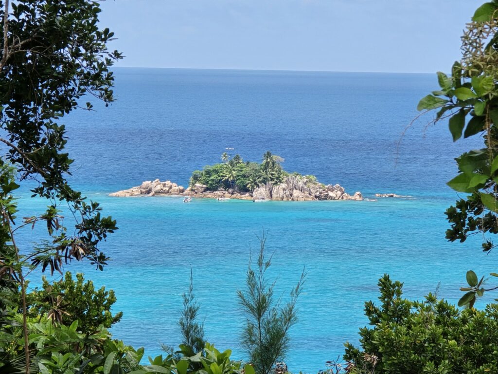 Kleine palmengesäumte Felseninsel im türkisblauen Meer, eingerahmt von üppigem Küstenbewuchs im Vordergrund.