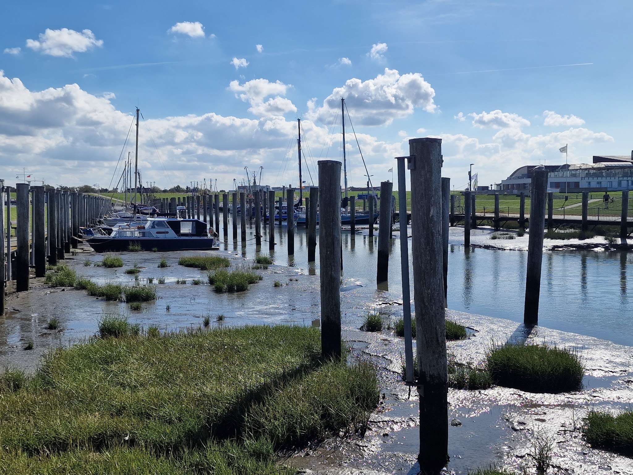 Boote liegen bei Ebbe zwischen Holzpfählen im schlammigen Hafen; Sonne und lockere Wolken am blauen Himmel