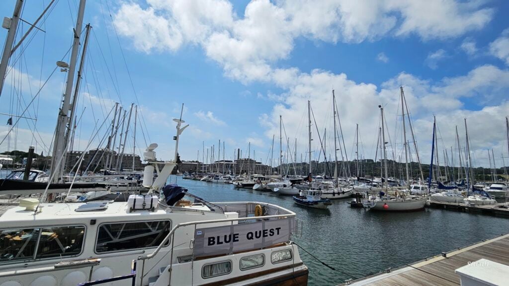 Sonnige Marina; im Vordergrund Boot „BLUE QUEST“, dahinter viele festgemachte Segelboote mit hohen Masten.