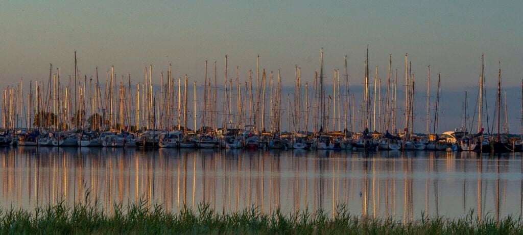 Dicht aneinandergereihte Segelboote im Hafen, ihre Masten spiegeln sich im ruhigen Wasser bei warmem Abendlicht.