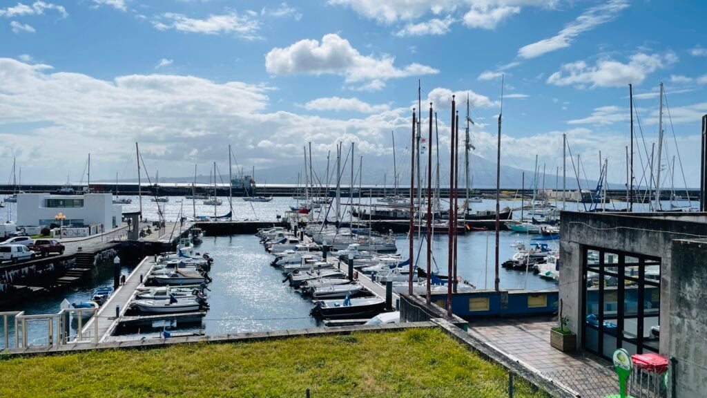Yachthafen bei Sonnenschein: Reihen kleiner Boote an Stegen, viele Masten, glitzerndes Wasser, blauer Himmel