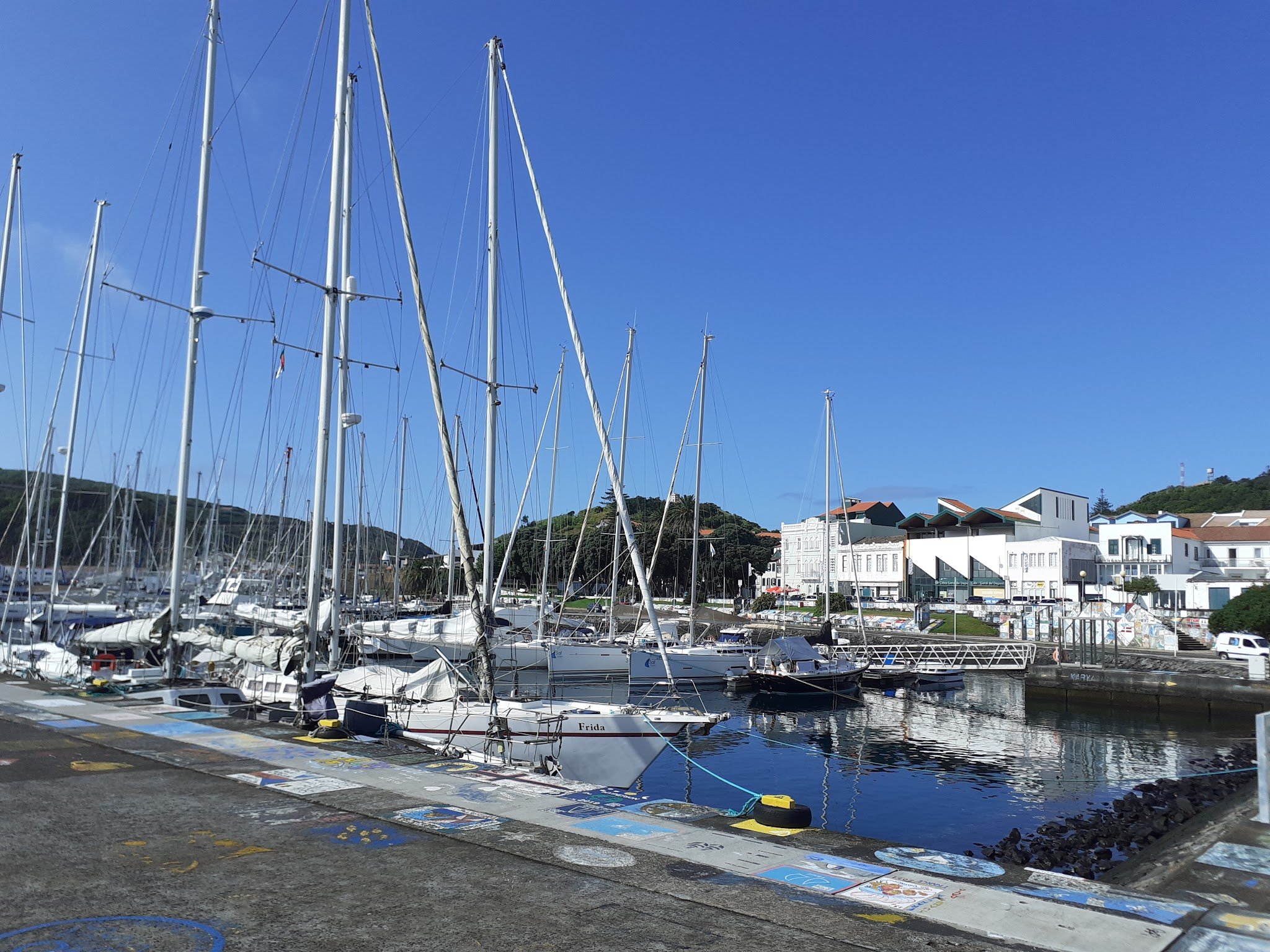 Segelboote mit hohen Masten im ruhigen Hafen; weiße Küstenhäuser und grüner Hügel unter klarem, blauem Himmel.