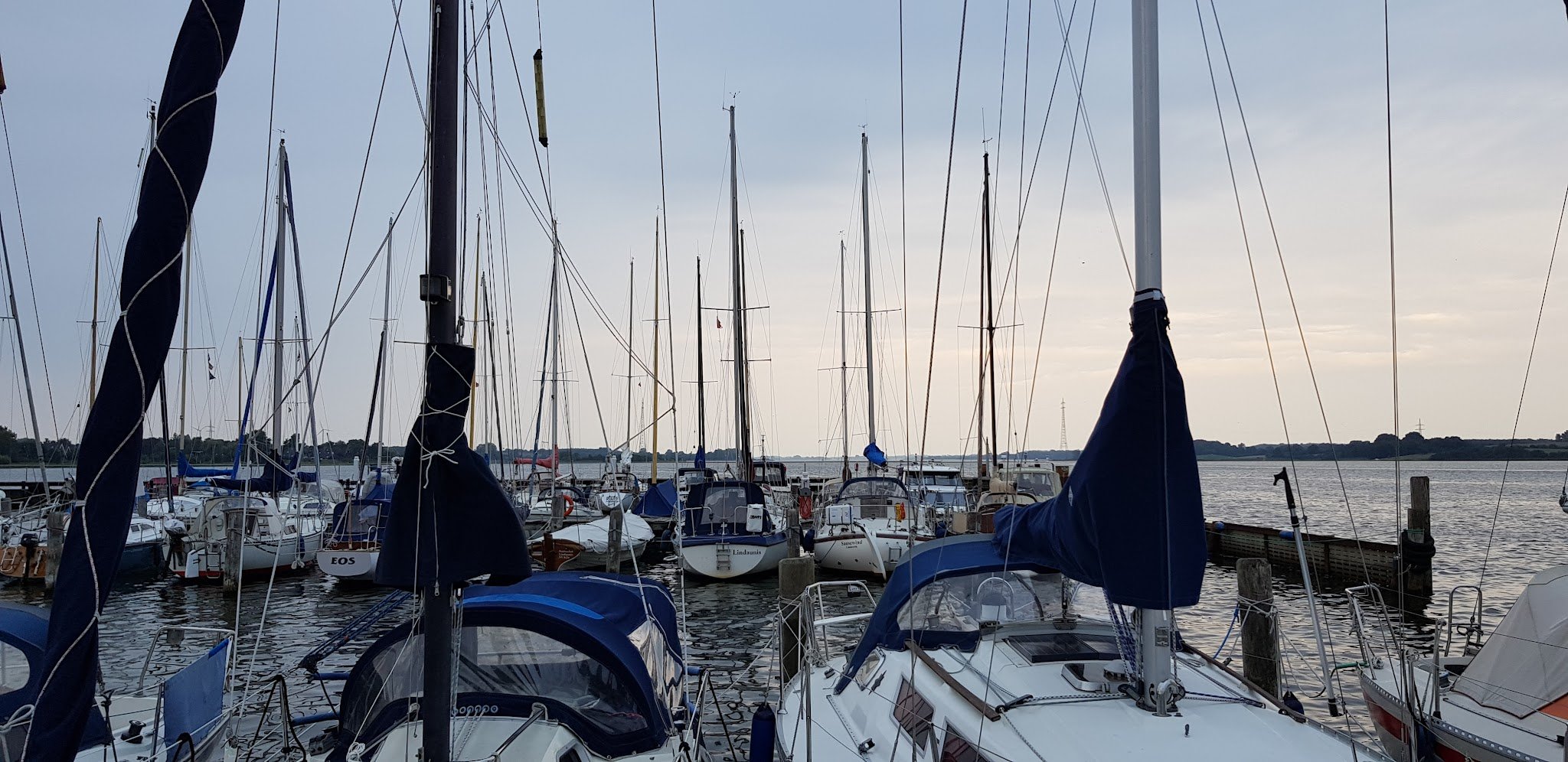 Dicht an dicht vertäute Segelboote im Hafen; schlanke Masten ragen vor ruhigem Abendhimmel empor.