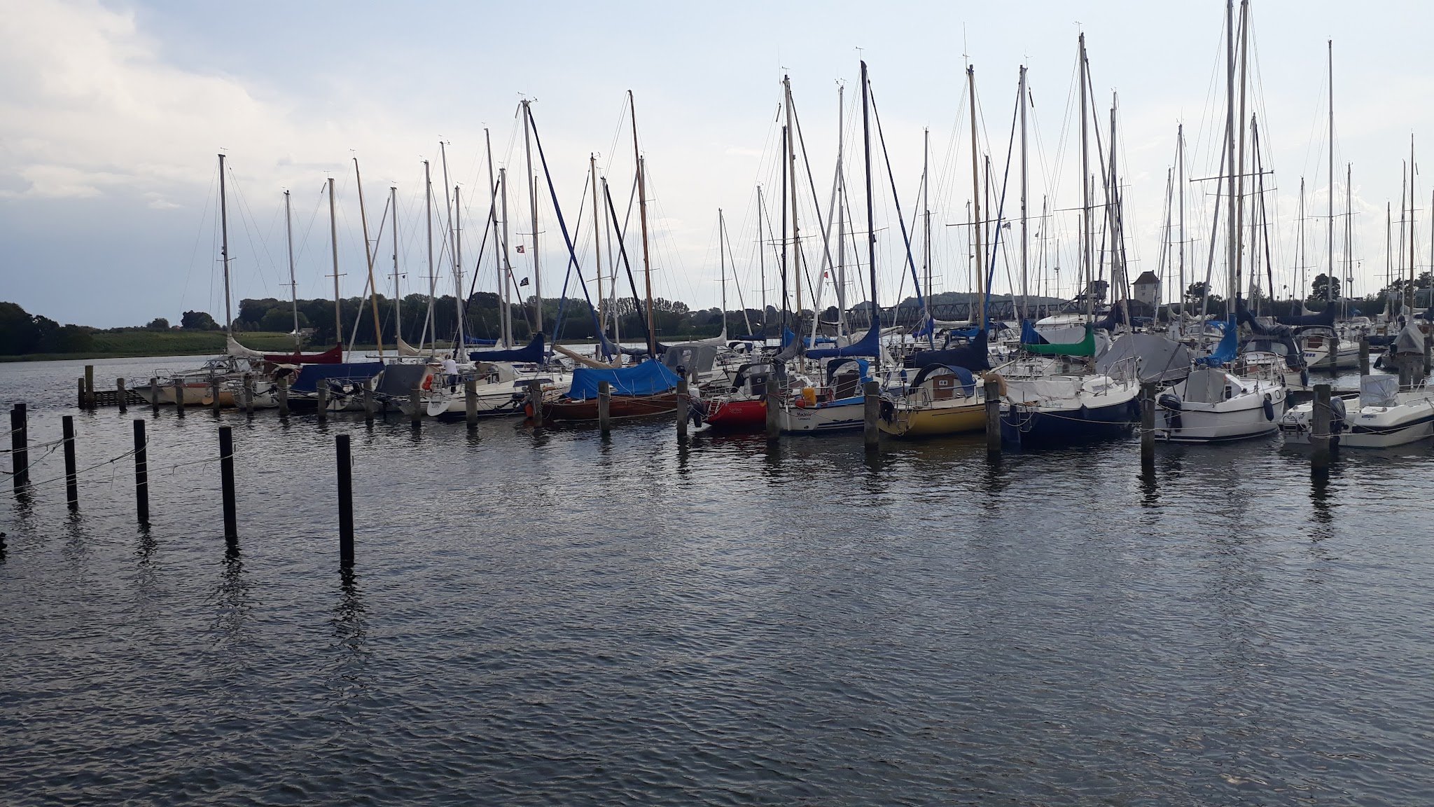 Ruhiger Yachthafen: zahlreiche festgemachte Segelboote mit hohen Masten, leicht gekräuseltes Wasser, bewaldetes Ufer.