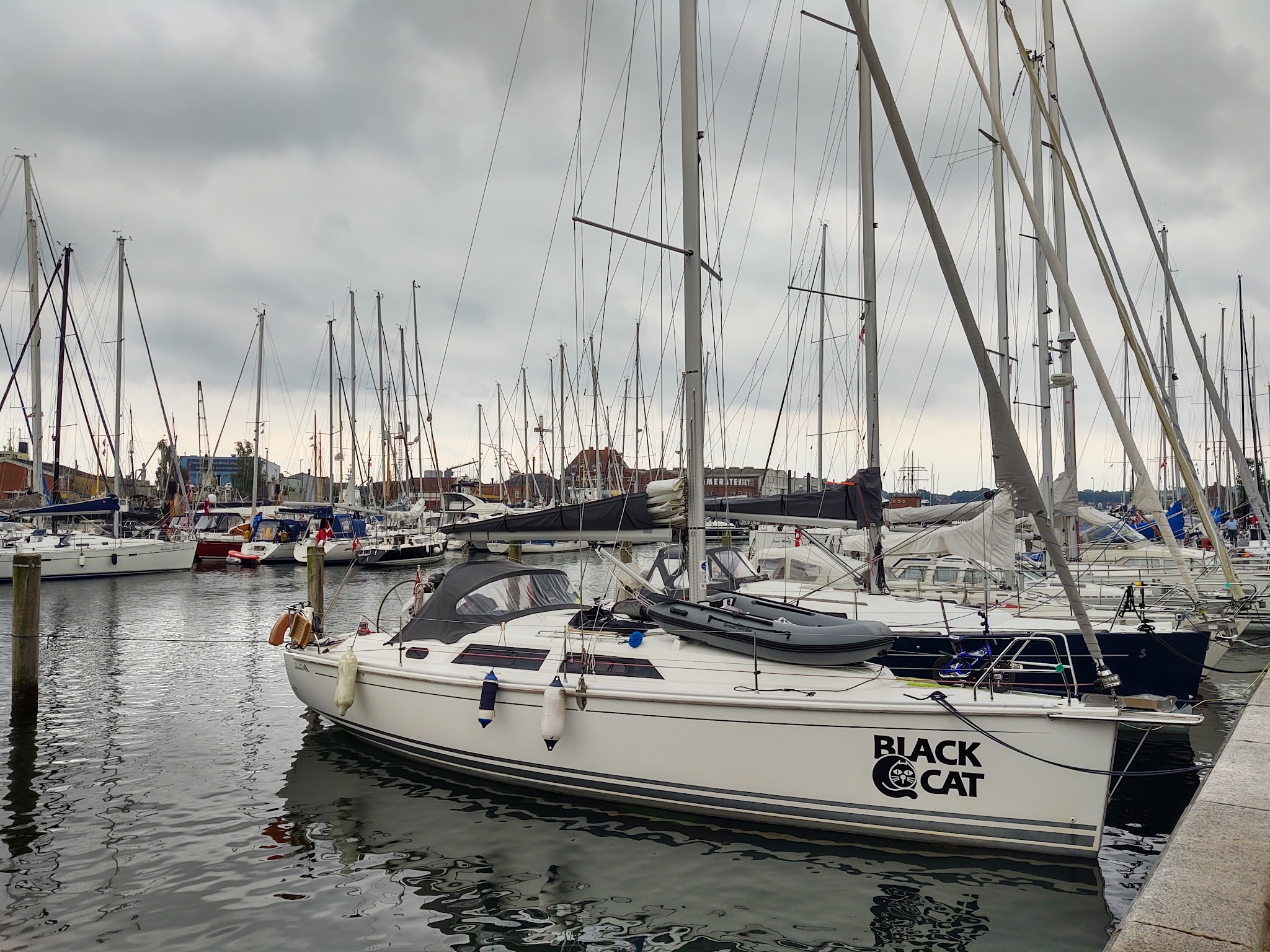 Überfüllter Yachthafen bei grauem Himmel; im Vordergrund weißes Segelboot „Black Cat“ vertäut am Kai.