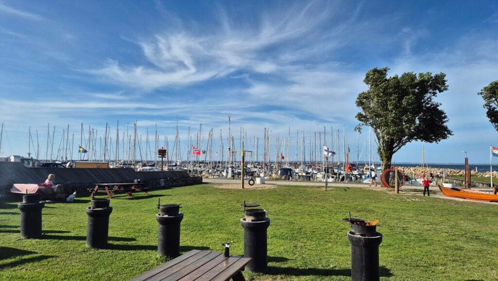 Grüne Picknickwiese mit Grillpfosten vor Hafen voller Segelbootmasten, Menschen entspannen, blauer Himmel mit Schleierwolken.