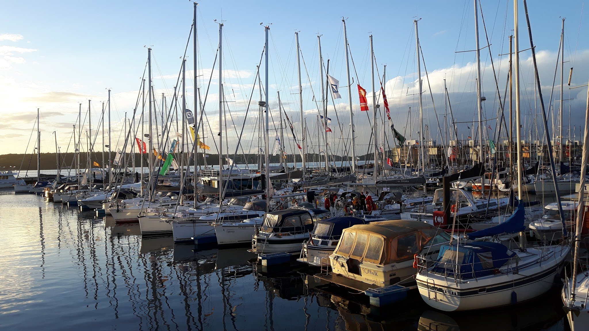 Dichtes Segelbootfeld im Hafen, schlanke Masten mit bunten Flaggen spiegeln sich im ruhigen Wasser bei Abendlicht.